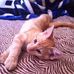 Ryan Patton - Facebook