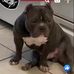 Ryan Paul - Facebook