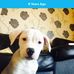 Ryan Pearcy - Facebook