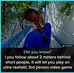 Ryan Pearcy - Facebook