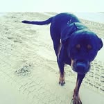 bobs your uncle - @ryan_peat_111 - Instagram