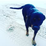 Ryan Peat - @ryan__peat__ - Instagram