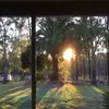 Ryan peat - @ryan.84 - TikTok
