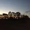 Ryan peat - @rypeat.85 - TikTok