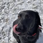 Nathan Ryan Pelfrey - @skk_skk_skk3 - Instagram