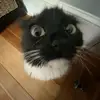 Ryan Pelkey - @ryan.pelkey - TikTok
