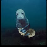 Ryan Penney - @ryanpenney007 - Instagram