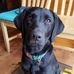 Ryan Pennington - Facebook