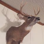 Ryan Penrod - @deer_hunter_915 - Instagram