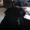 ryanperras30 - @ryanperras30 - TikTok