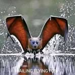 Ryan Perry - Facebook