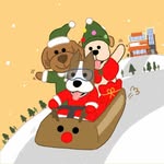 펫츠하우스 양주애견유치원 - @petshouse_korea - Instagram
