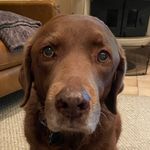 Ryan Pettengill - @ryan.pettengill - Instagram