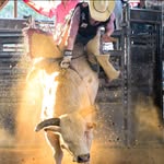 Ryan Piche - @devildog1121 - Instagram