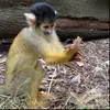 ryan_pick - @ryan_pick - TikTok