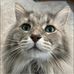 Ryan Pickard - Facebook
