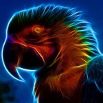 Ryan Pickard - @ryan_pickard_585 - Instagram