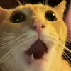 ryanpickard779 - @ryanpickard779 - TikTok