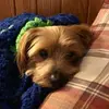 Ryan Pinto2408 - @ryanpinto2408 - TikTok