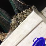 Ryan Pitcher - @pitcher640 - Instagram