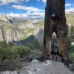 Ryan Pitz - @__leaningtowerofpitza - Instagram