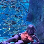 Ryan Plank - @plank9088 - Instagram