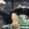 Ryan Polak - @ryan.polak08 - TikTok