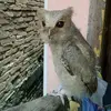 riyanpolmen - @riyanpolmen - TikTok