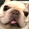 Ryan._.preece - @ryan._.preece - TikTok