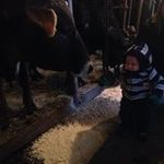 Ryan Priest - @ryan.priest - Instagram