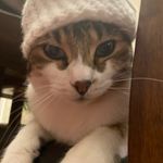 Ryan prieto - @ryanprieto1 - Instagram