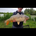 𝓡𝔂𝓪𝓷 𝓟𝓻𝓲𝓸𝓻 - @teenage_carper - Instagram