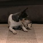 Ryan Pritchett - @bpsryanp - Instagram