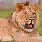 Ryan Pritchett - @pritchett_ryan - Instagram