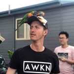 Ryan Prosper - @prospdaddio - Instagram