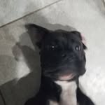Puckett - @ryan_puckett731 - Instagram