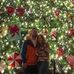 Ryan Pulliam - Facebook
