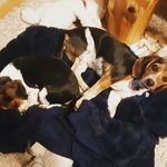 Ryan Pulliam - @pulliam_ryan - Instagram
