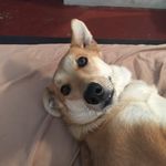 Ryan Quinton Lee - @hautryan - Instagram