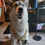 Ryan Radcliff - @radcliffryan - Instagram