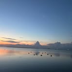 Ryan Rado - Facebook