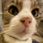 Ryan - @ryan.raetz - Instagram