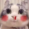 Ryan - @ryanrae1100 - TikTok