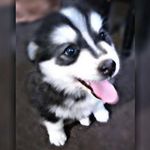 Ryan Ramdass - @ramdassryan - Instagram