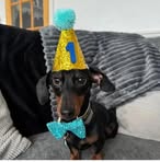 Ryan Ryanson - Facebook