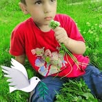 Rayeen Rather - Facebook