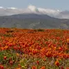Ryan Rathert - @ryan.rathert - TikTok