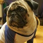 Ryan Rauch - @ryanrauch - Instagram