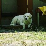 Ryan Raymer - @raymerr49 - Instagram