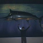 Ryan Raymer - @ryanraymer89 - Instagram